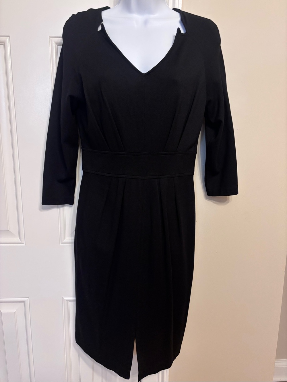 NWOT Piccadilly Dress